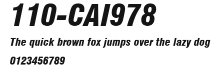 110-CAI978 Preview