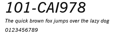 101-CAI978 Preview
