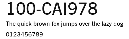 100-CAI978 Preview