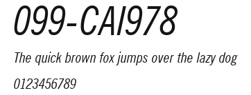 099-CAI978 Preview