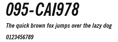 095-CAI978 Preview