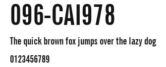 096-CAI978 Preview