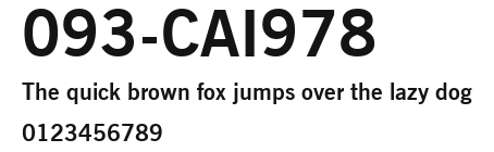 093-CAI978 Preview