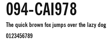 094-CAI978 Preview