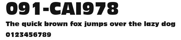 091-CAI978 Preview