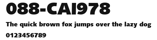 088-CAI978 Preview
