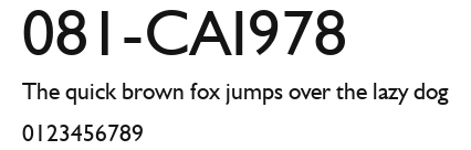 081-CAI978 Preview
