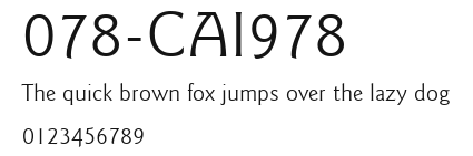 078-CAI978 Preview
