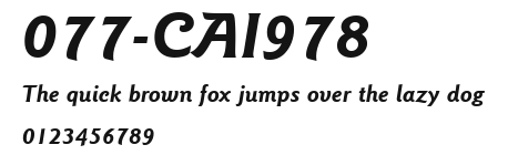 077-CAI978 Preview