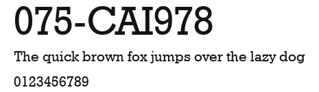 075-CAI978 Preview