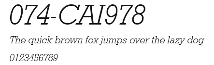 074-CAI978 Preview
