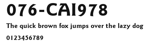 076-CAI978 Preview