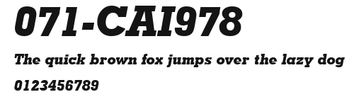 071-CAI978 Preview