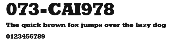 073-CAI978 Preview