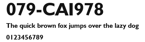 079-CAI978 Preview