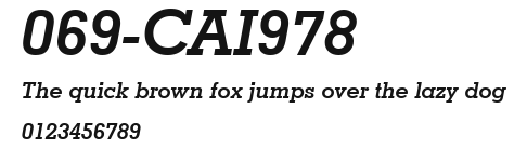 069-CAI978 Preview