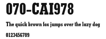 070-CAI978 Preview
