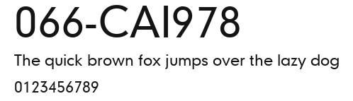 066-CAI978 Preview