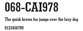 068-CAI978 Preview