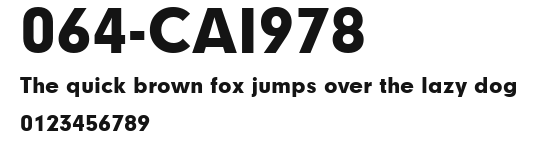 064-CAI978 Preview