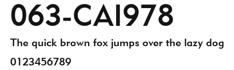 063-CAI978 Preview