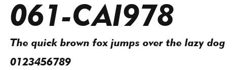 061-CAI978 Preview