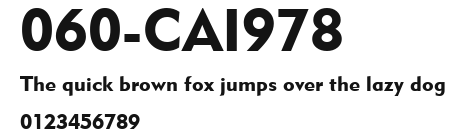 060-CAI978 Preview