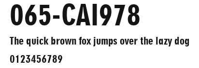065-CAI978 Preview