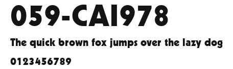 059-CAI978 Preview