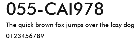 055-CAI978 Preview