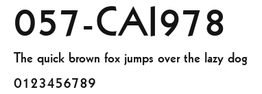 057-CAI978 Preview