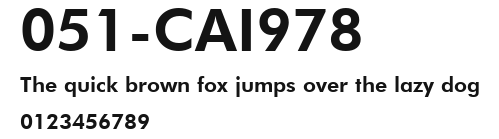 051-CAI978 Preview