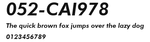 052-CAI978 Preview
