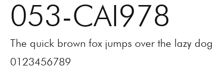 053-CAI978 Preview
