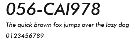 056-CAI978 Preview