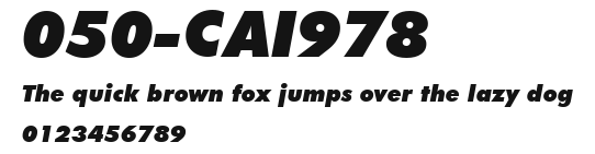 050-CAI978 Preview