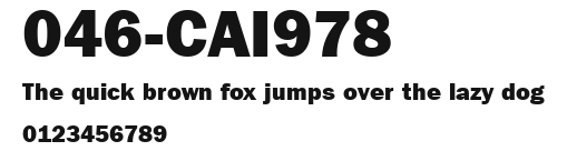 046-CAI978 Preview