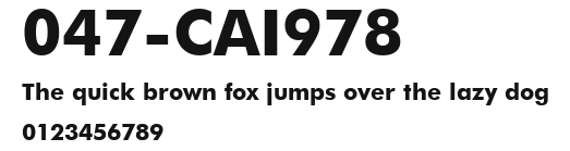 047-CAI978 Preview