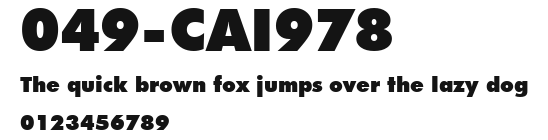 049-CAI978 Preview