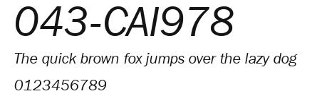 043-CAI978 Preview