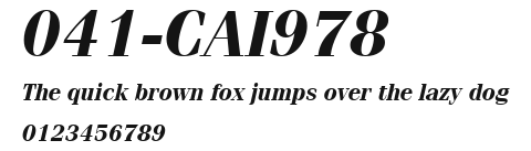 041-CAI978 Preview