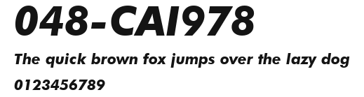 048-CAI978 Preview