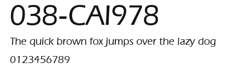 038-CAI978 Preview