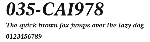 035-CAI978 Preview