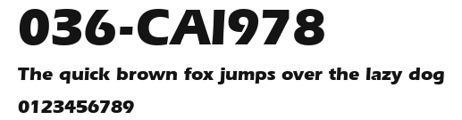 036-CAI978 Preview