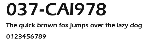 037-CAI978 Preview