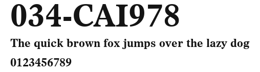 034-CAI978 Preview