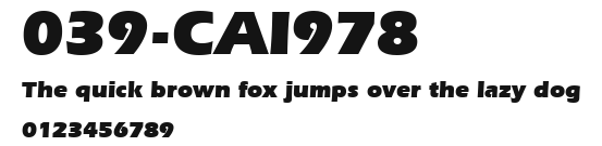 039-CAI978 Preview