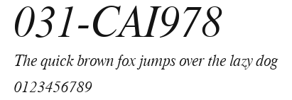 031-CAI978 Preview