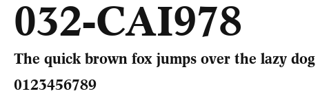 032-CAI978 Preview